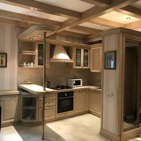 In Center 公寓 利沃夫